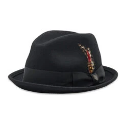 Chapeau Brixton Gain Fedora 10765 Black