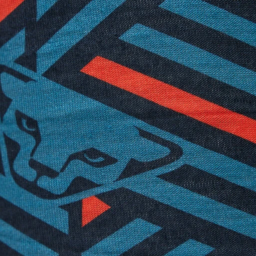 Écharpe Tube Dynafit Logo Neck Gaiter 08-0000071416 Storm Blue/Razzle Dazzle 8072 5 Écharpe Tube Dynafit Logo Neck Gaiter 08-0000071416 Storm Blue/Razzle Dazzle 8072 – Image 3